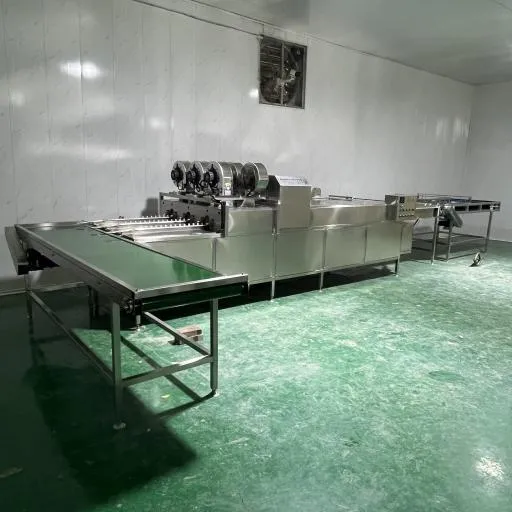 фото Линия автоматической упаковки яиц в лотки W21L от магазина Метасила