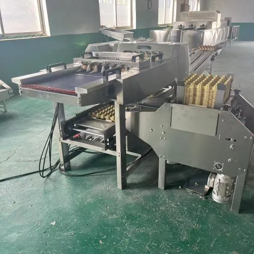 фото Линия автоматической упаковки яиц в лотки W21L от магазина Метасила