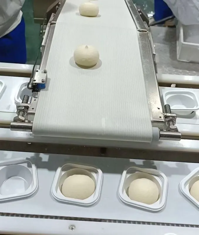 картинка Линия производства, укладки в лотки и упаковки Моти KS01 от магазина Метасила