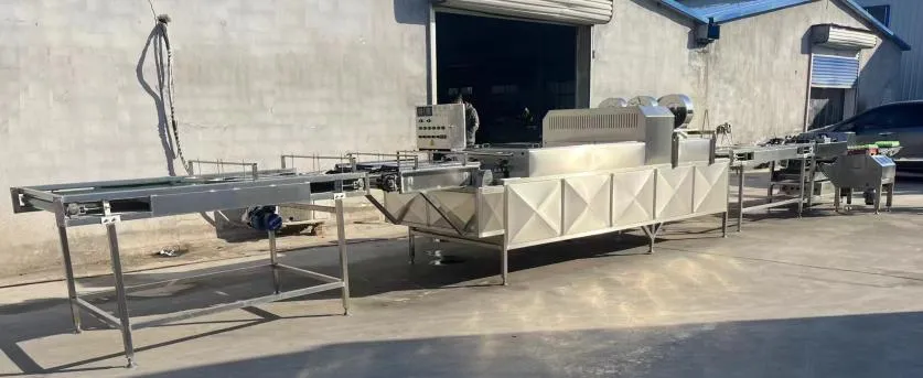 фото Линия автоматической упаковки яиц в лотки W21L от магазина Метасила