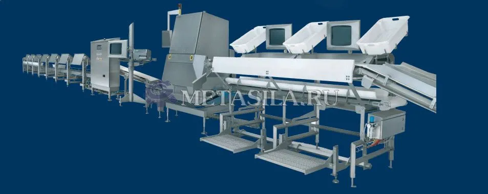 картинка Линия убоя свиней комплект от магазина Метасила