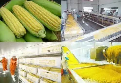 картинка Линия по производству консервированной кукурузы (модель U-03) от магазина Метасила
