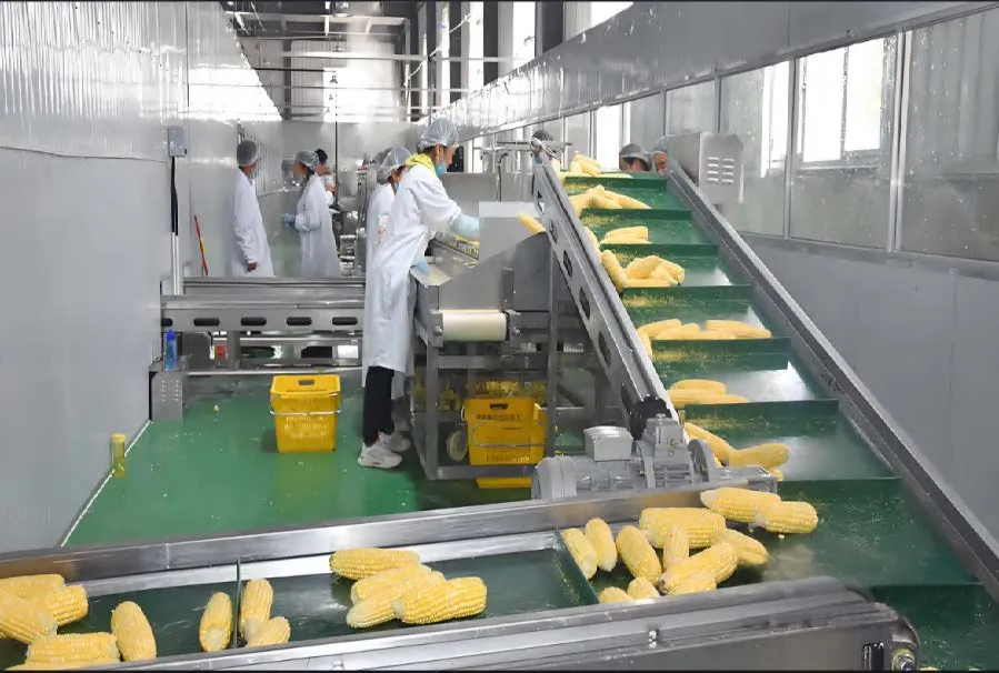 картинка Линия по производству консервированной кукурузы (модель U-03) от магазина Метасила