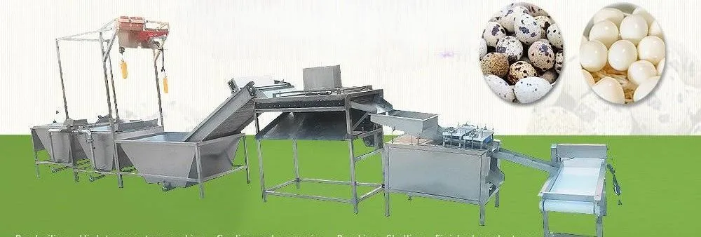 картинка Линия очистки перепелиных яиц L02 от магазина Метасила