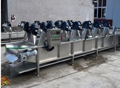 картинка Линия мойки и сушки овощей и фруктов V14 от магазина Метасила