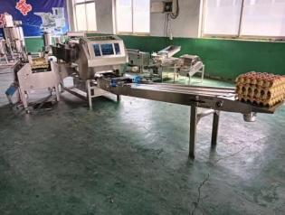 фото Линия для упаковки яиц в лотки F27N от магазина Метасила