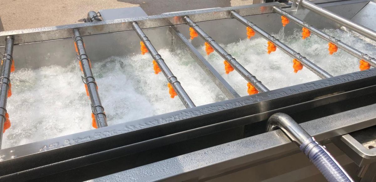 картинка Линия мойки и сушки овощей и фруктов V14 от магазина Метасила