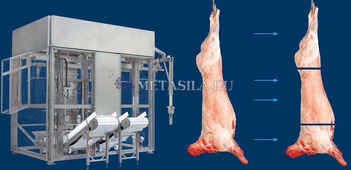 картинка Линия убоя свиней комплект от магазина Метасила