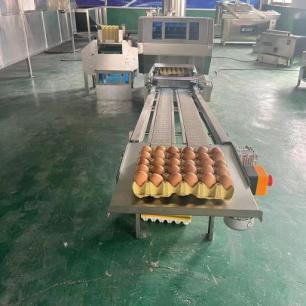 фото Линия для упаковки яиц в лотки F27N от магазина Метасила
