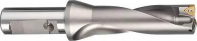 11.jpg 11.jpg